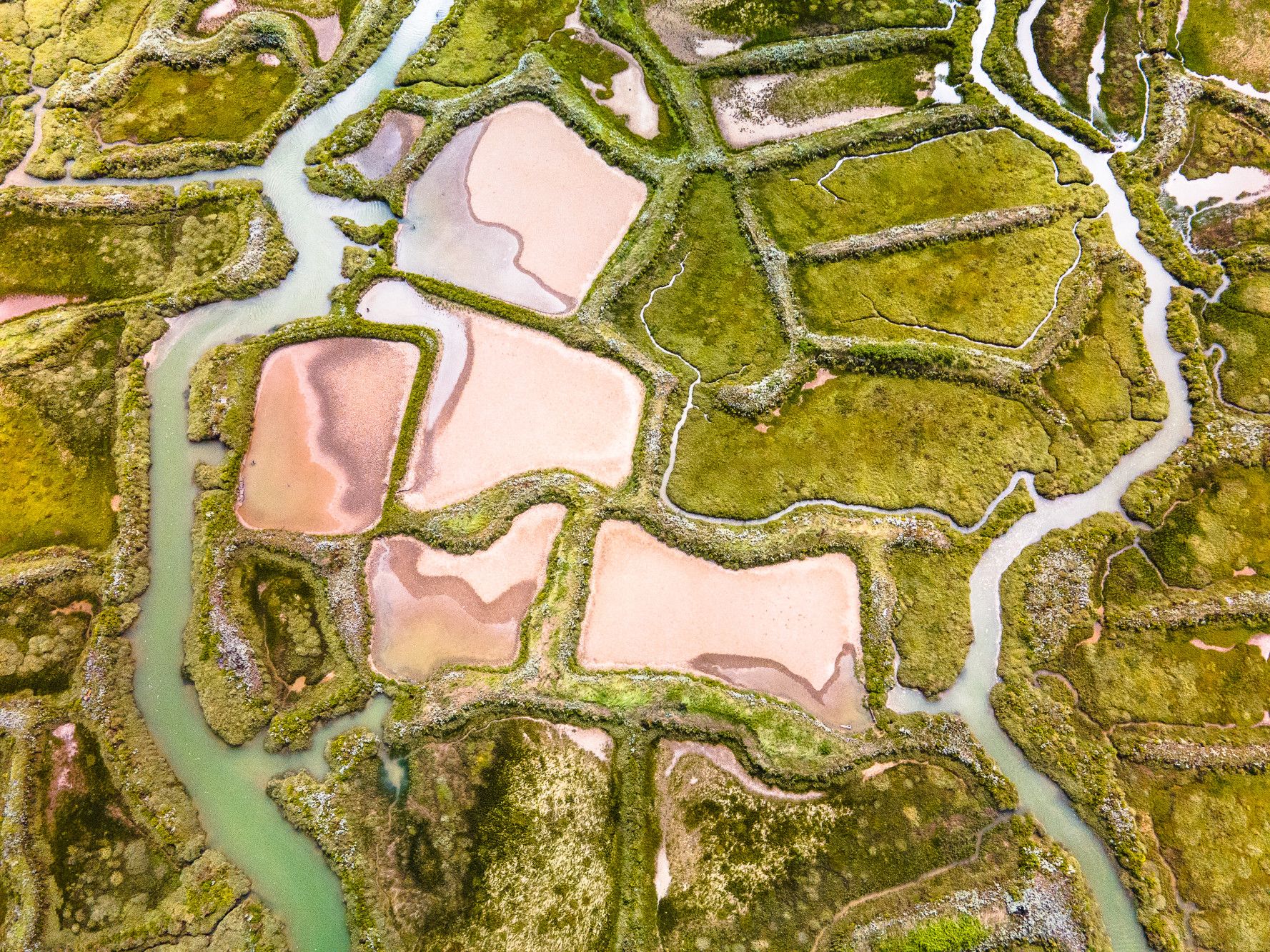 Marais – Tirage Fine Art